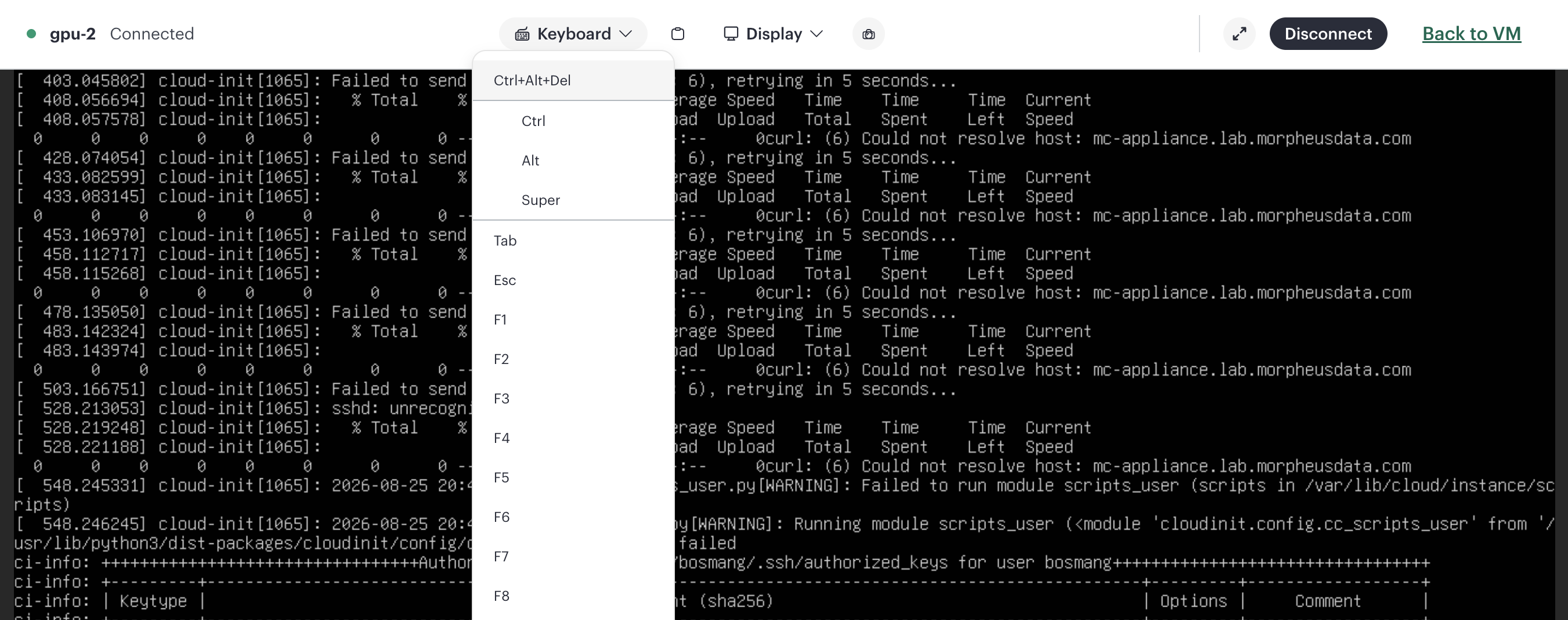 VM console viewer with the toolbar and the Keyboard menu open